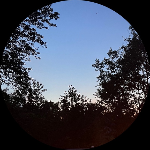 saintrose_